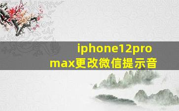 iphone12pro max更改微信提示音